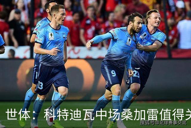 世体：科特迪瓦中场桑加雷值得关注，球队想击败挪威他会是关键