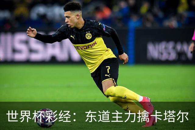 世界杯彩经：东道主力擒卡塔尔